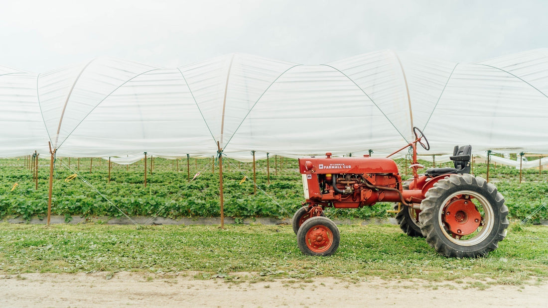 Growing Together: MiiR & Viva Farms Are Cultivating the Future of Farming in the Pacific Northwest